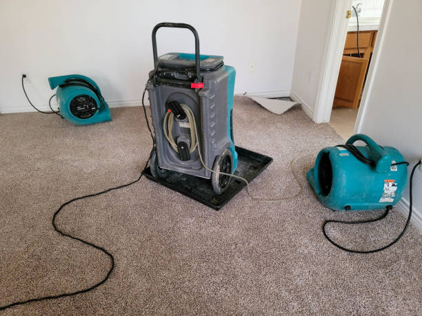 Best Water damage cleanup near me  in Granite Hills, CA