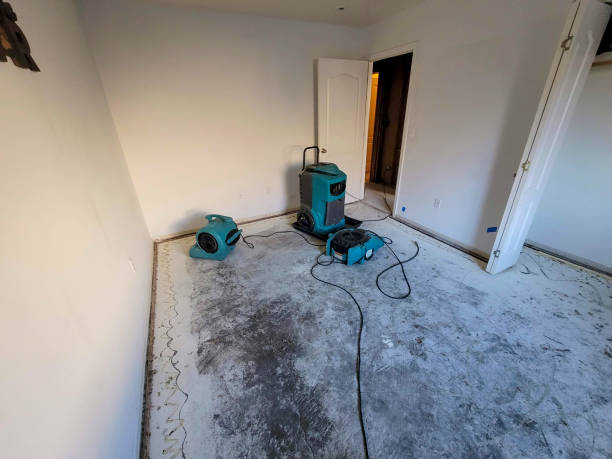 Best Ceiling water damage repair  in Granite Hills, CA