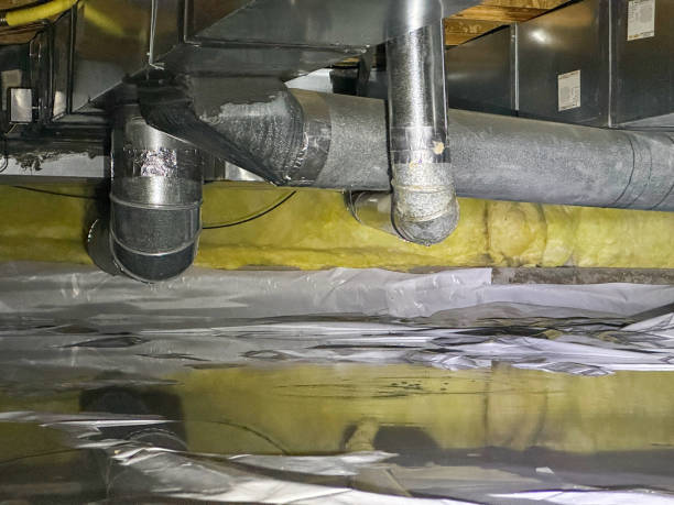 Best Mold removal after water damage  in Granite Hills, CA