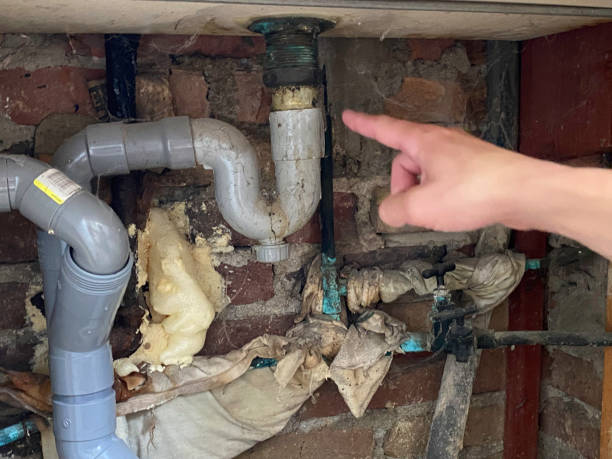 Best Carpet water damage restoration  in Granite Hills, CA